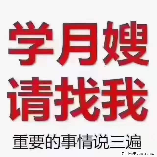 为什么要学习月嫂，育婴师？ - 其他广告 - 广告专区 - 安顺分类信息 - 安顺28生活网 anshun.28life.net