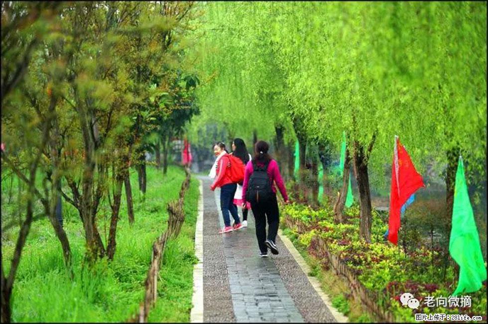 【春天，广西桂林灌阳县向您发出邀请！】江口老街又逢春 - 游山玩水 - 安顺生活社区 - 安顺28生活网 anshun.28life.net