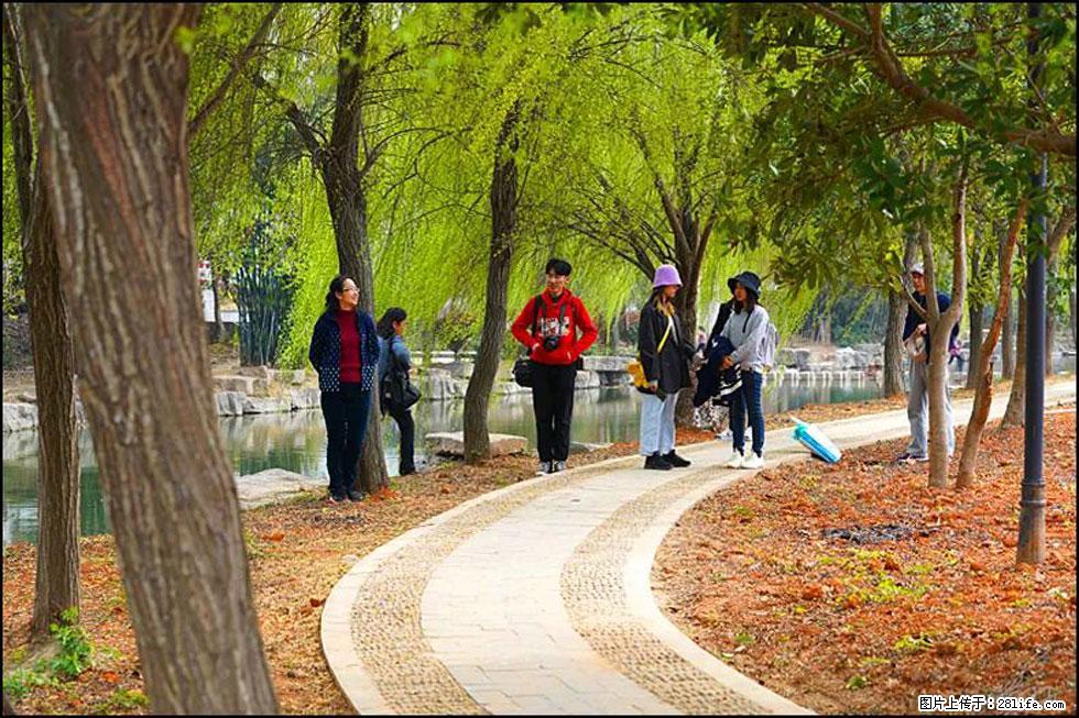 【春天，广西桂林灌阳县向您发出邀请！】江口老街又逢春 - 游山玩水 - 安顺生活社区 - 安顺28生活网 anshun.28life.net