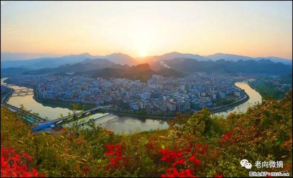 【春天，广西桂林灌阳县向您发出邀请！】登麒麟山，相约映山红 - 游山玩水 - 安顺生活社区 - 安顺28生活网 anshun.28life.net