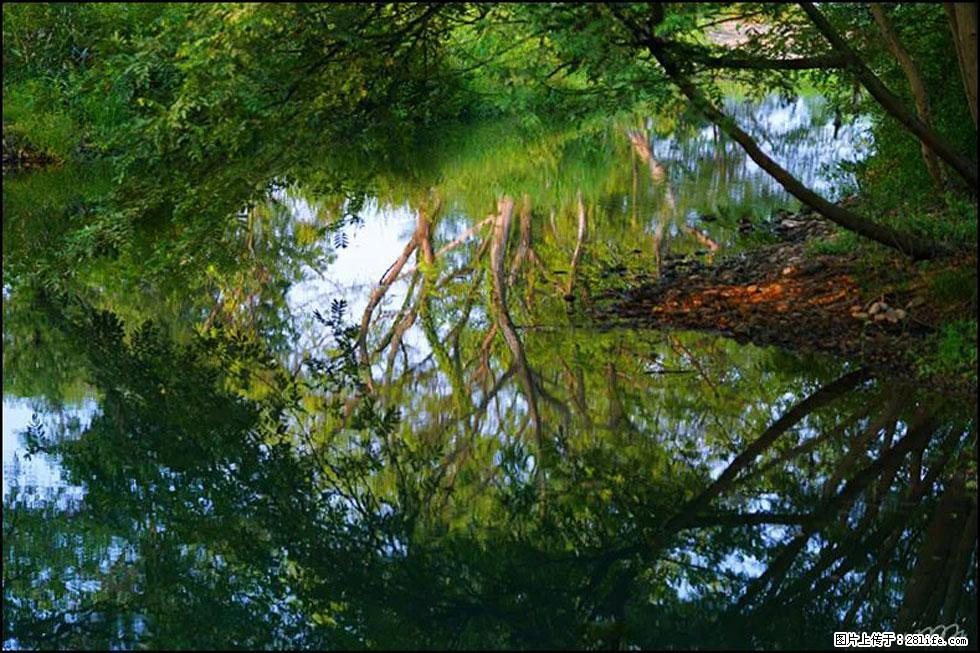 【春天，广西桂林灌阳县向您发出邀请！】熊家寨湿地公园 - 游山玩水 - 安顺生活社区 - 安顺28生活网 anshun.28life.net