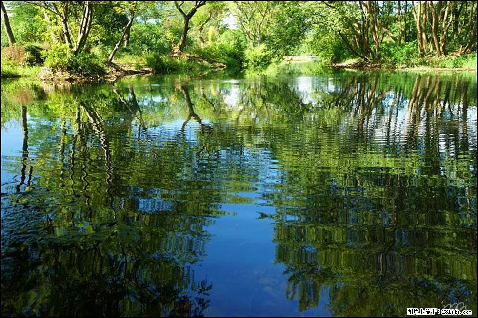 【春天，广西桂林灌阳县向您发出邀请！】熊家寨湿地公园 - 游山玩水 - 安顺生活社区 - 安顺28生活网 anshun.28life.net