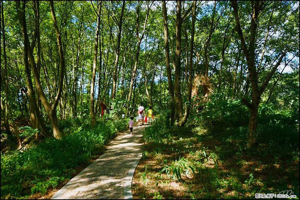 【春天，广西桂林灌阳县向您发出邀请！】熊家寨湿地公园 - 游山玩水 - 安顺生活社区 - 安顺28生活网 anshun.28life.net