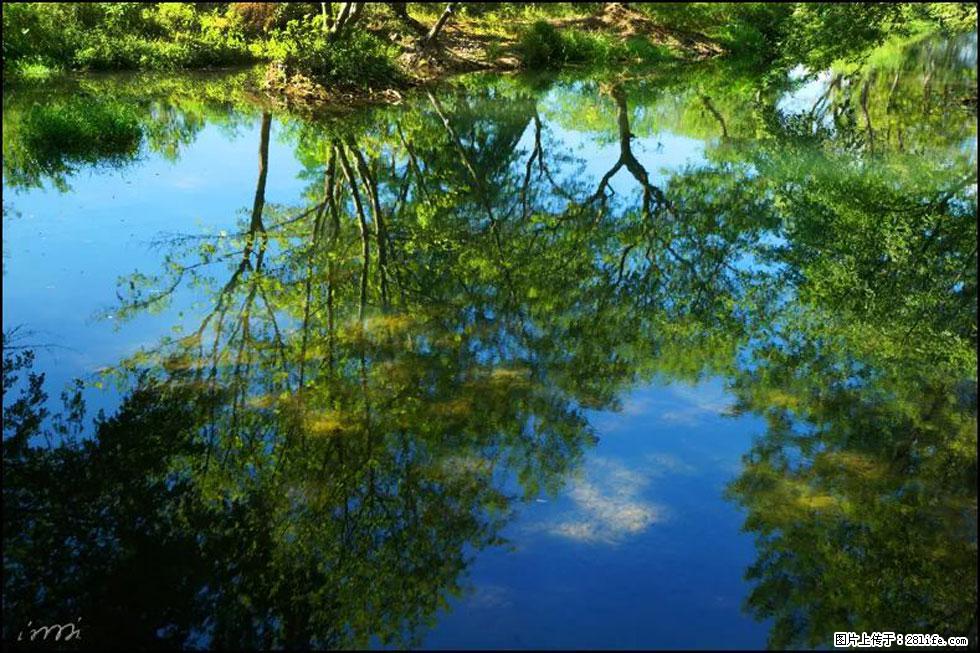 【春天，广西桂林灌阳县向您发出邀请！】熊家寨湿地公园 - 游山玩水 - 安顺生活社区 - 安顺28生活网 anshun.28life.net