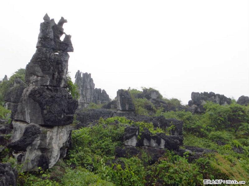 桂林旅游名城景点：灌阳文市石林 - 游山玩水 - 安顺生活社区 - 安顺28生活网 anshun.28life.net