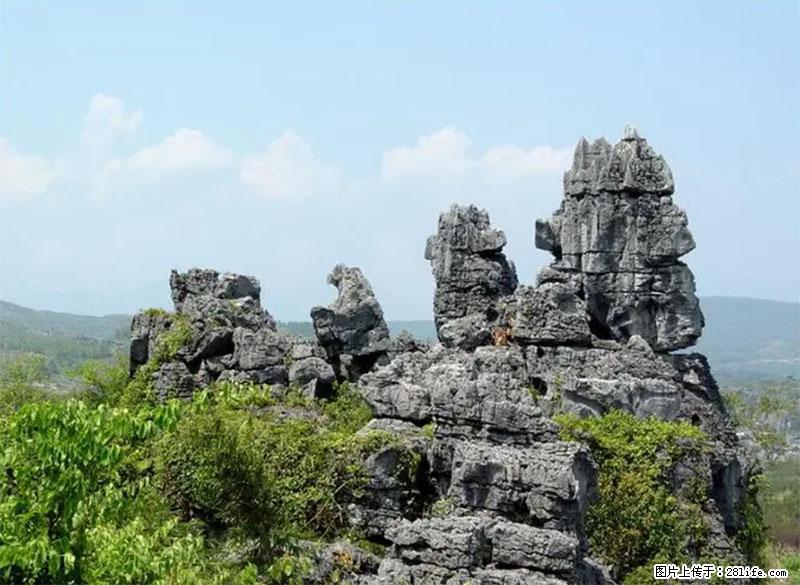 桂林旅游名城景点：灌阳文市石林 - 游山玩水 - 安顺生活社区 - 安顺28生活网 anshun.28life.net