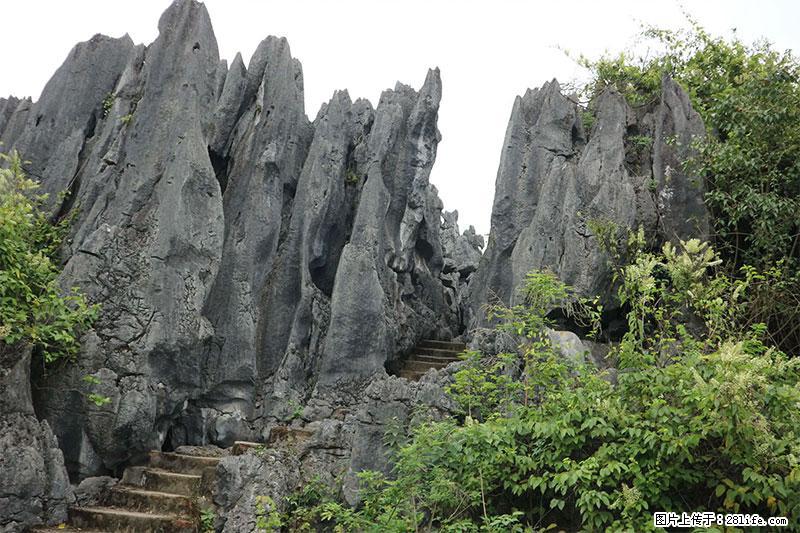桂林旅游名城景点：灌阳文市石林 - 游山玩水 - 安顺生活社区 - 安顺28生活网 anshun.28life.net