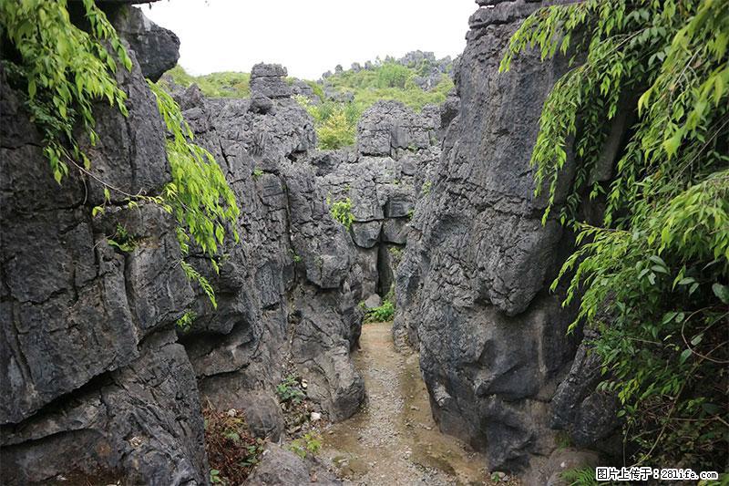 桂林旅游名城景点：灌阳文市石林 - 游山玩水 - 安顺生活社区 - 安顺28生活网 anshun.28life.net