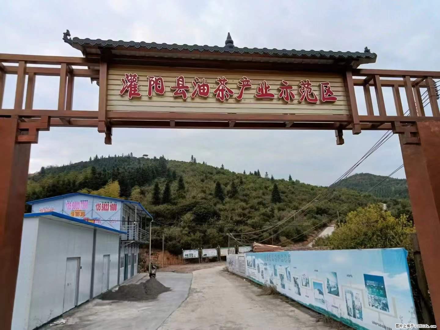 【灌阳县油茶产业示范区】一个有着充实的精神生活的人，对待身外之物自会有一种淡泊的态度 - 土特产 - 饮食特产 - 安顺分类信息 - 安顺28生活网 anshun.28life.net