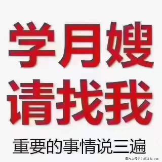 为什么要学习月嫂，育婴师？ - 安顺28生活网 anshun.28life.net