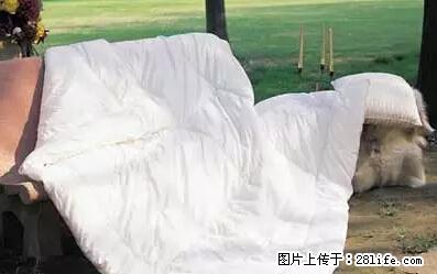 被子有异味？只要这样做，比晒太阳还强100倍！ - 家居生活 - 安顺生活社区 - 安顺28生活网 anshun.28life.net