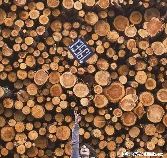 辞掉工作周游世界？现在他们在洗厕所…… - 游山玩水 - 安顺生活社区 - 安顺28生活网 anshun.28life.net