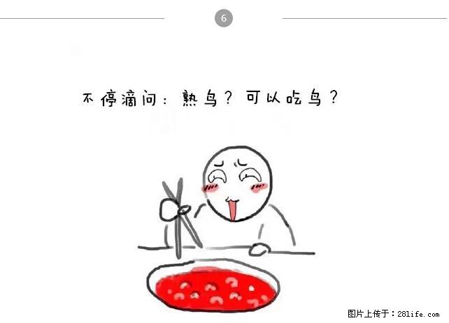 千万不要和这9种哈卵一起吃火锅! - 美食天地 - 安顺生活社区 - 安顺28生活网 anshun.28life.net