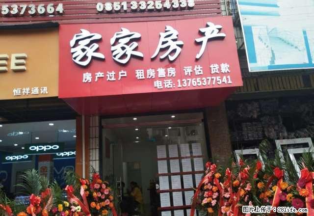出租金星天下城 温馨两居室 - 房屋出租 - 房屋租售 - 安顺分类信息 - 安顺28生活网 anshun.28life.net