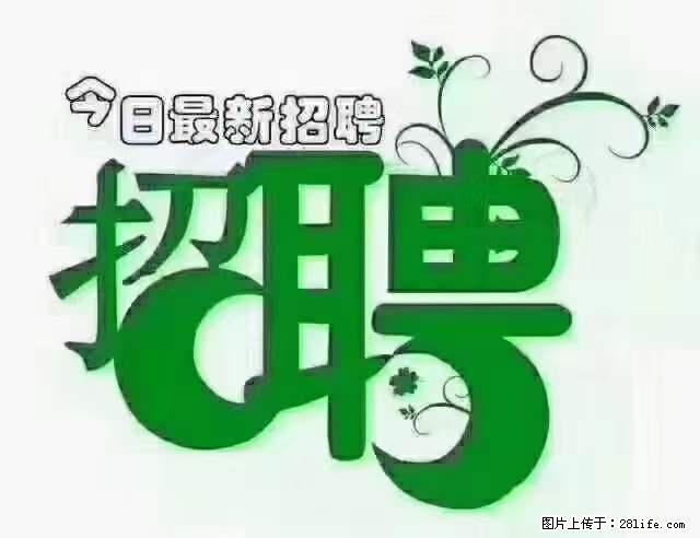 【招聘摄像师】待遇：试用期6000元/月，转正7000元/月+五险一金+餐补+节日福利+奖金 - 其他招聘信息 - 招聘求职 - 安顺分类信息 - 安顺28生活网 anshun.28life.net