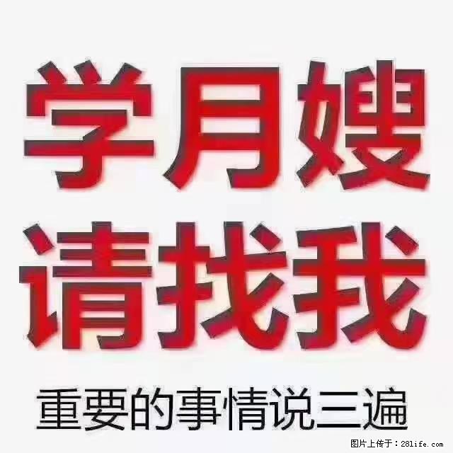 【招聘】月嫂，上海徐汇区 - 职场交流 - 安顺生活社区 - 安顺28生活网 anshun.28life.net