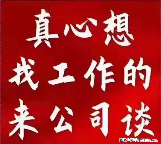【上海】国企，医院招两名男保安，55岁以下，身高1.7米以上，无犯罪记录不良嗜好 - 职场交流 - 安顺生活社区 - 安顺28生活网 anshun.28life.net