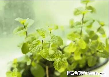 晕车、脚气、牙齿变黄、皮肤粗糙？学会这些三分钟搞定！ - 安顺生活资讯 - 安顺28生活网 anshun.28life.net