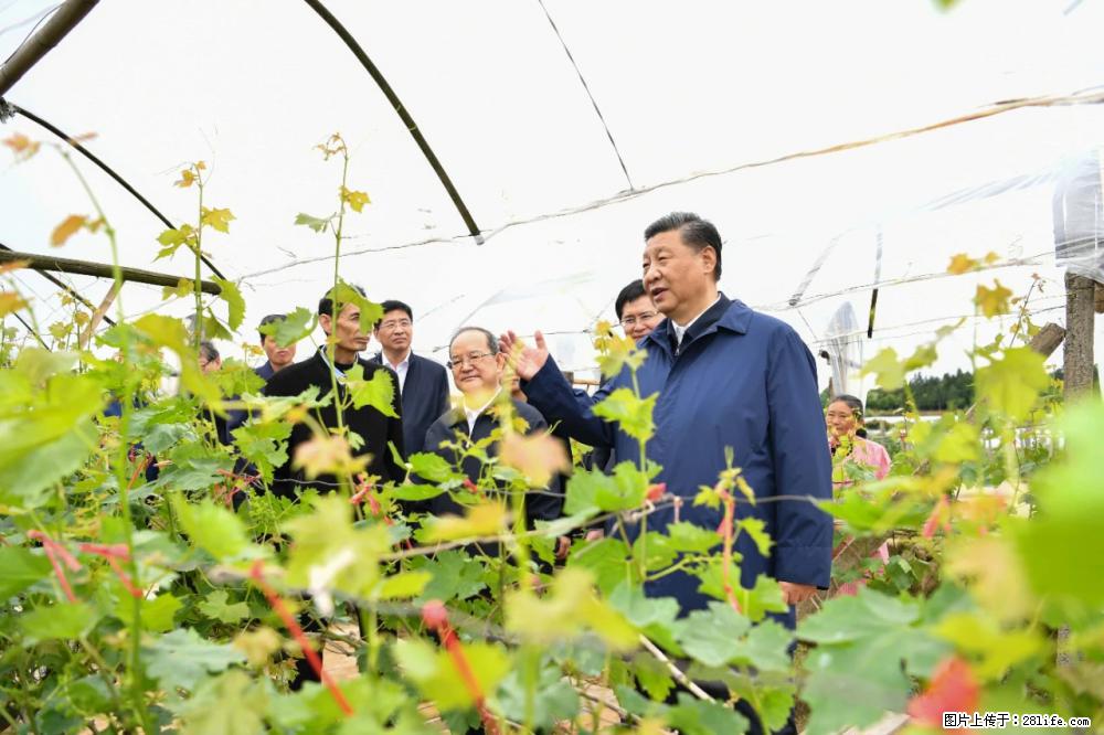 习近平赴广西考察调研 - 安顺生活资讯 - 安顺28生活网 anshun.28life.net