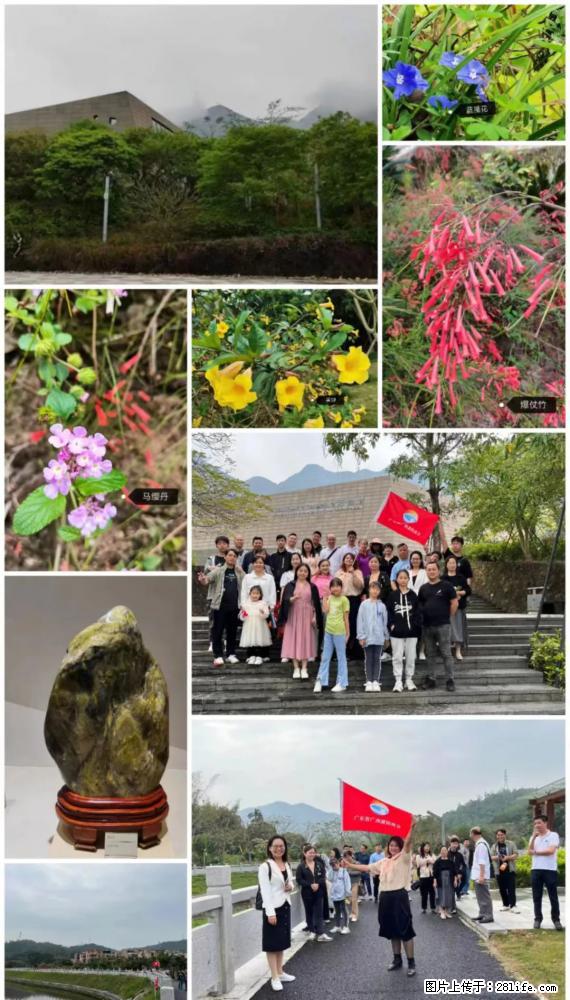 “粤灌文化 美好生活”油茶文化主题活动在广东深圳成功举办 - 安顺生活资讯 - 安顺28生活网 anshun.28life.net