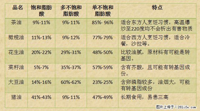 揭秘茶油的5大核心营养成分！被称为人体健康的“守护盾”！ - 安顺生活资讯 - 安顺28生活网 anshun.28life.net