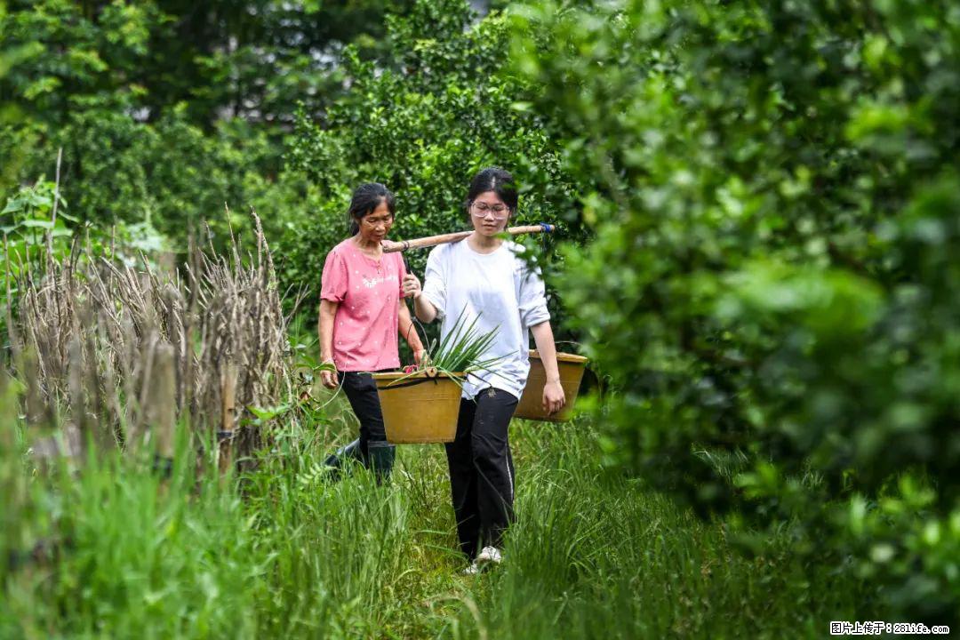 全网追的“扁担女孩”，找了一份暑假工，时薪12元 - 安顺生活资讯 - 安顺28生活网 anshun.28life.net