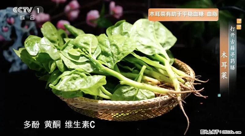 比牛奶补钙还厉害！凉血解毒、稳血糖...这菜冬天必吃，很多人却当草 - 安顺生活资讯 - 安顺28生活网 anshun.28life.net
